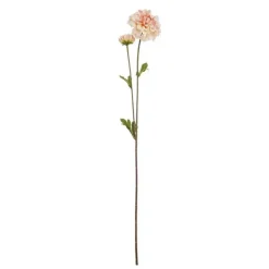 2 Dalia branches*Muy Mucho Clearance