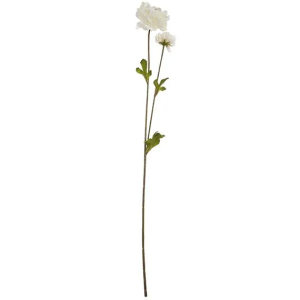 2 RANCULO 63CM CR.*Muy Mucho Outlet