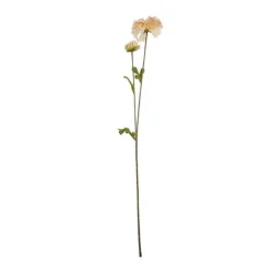 2 Zinnia branches*Muy Mucho Clearance