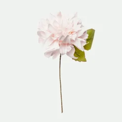 Dahlia pick*Muy Mucho Clearance