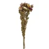 Dry flower bouquet 42cm la.*Muy Mucho Outlet