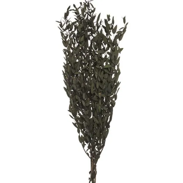 Dry wild leaf bouquet*Muy Mucho Outlet