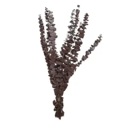 Eucalyptus bouquet*Muy Mucho Outlet