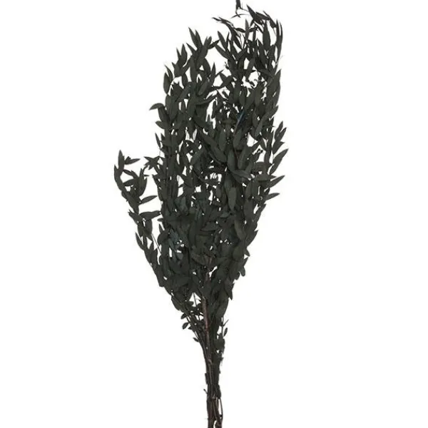 Eucalyptus bouquet*Muy Mucho Discount