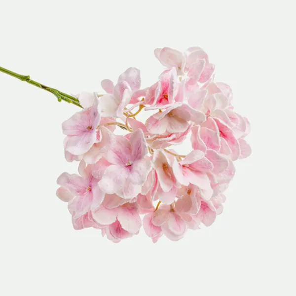 Hortensia 62Cm Rs.*Muy Mucho Outlet