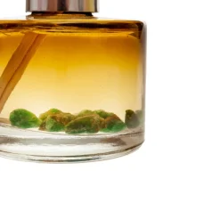 Mikado cedarwood&mint*Muy Mucho Best