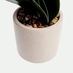 Orquidea Con Maceta 57Cm Bl.*Muy Mucho