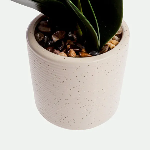 Orquidea Con Maceta 57Cm Bl.*Muy Mucho