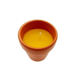 Pack 3 velas citronela*Muy Mucho