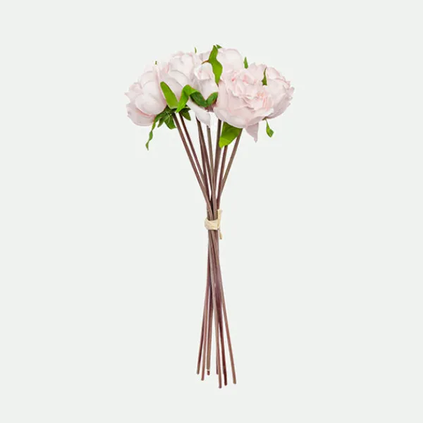 Peony bundle*Muy Mucho Clearance