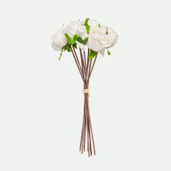 Peony bundle*Muy Mucho Online