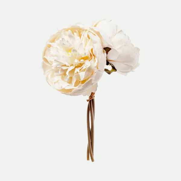 Peony bundle*Muy Mucho Discount