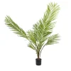 Planta areca palm*Muy Mucho Clearance