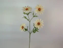 Rama daisy*Muy Mucho Outlet