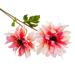 Rama dalia*Muy Mucho Outlet