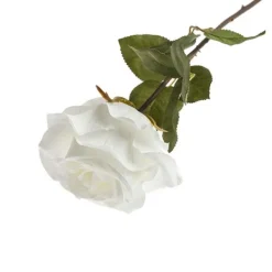 Rama rosa*Muy Mucho Best